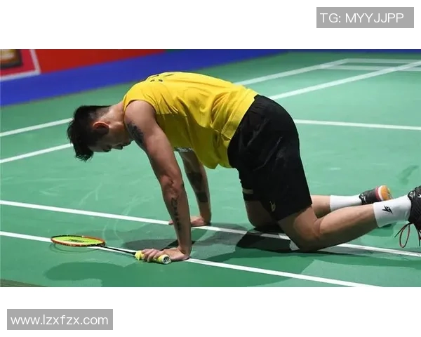 深圳羽毛球队个人能力分析与提升策略探讨