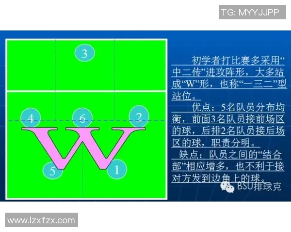 广州排球队的节奏分析与战术调整对比赛成绩的影响探讨