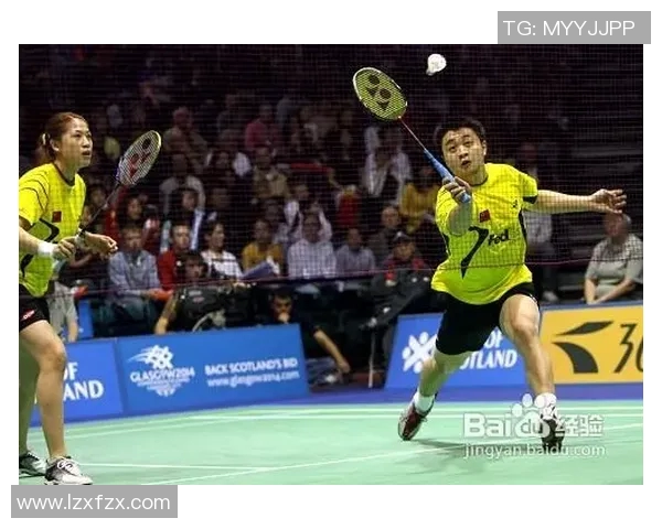 武汉羽毛球队区域防守分析：优劣势及其对比赛的影响探讨