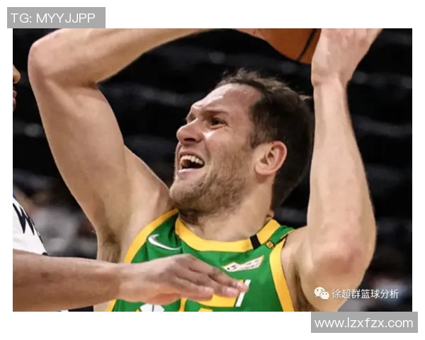 博格丹博格达诺维奇的篮球之路与职业生涯的辉煌成就分析