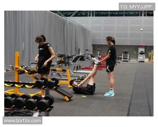 上海排球队耐力提升之路与训练策略分析 上海排球队耐力提升之路与训练策略分析